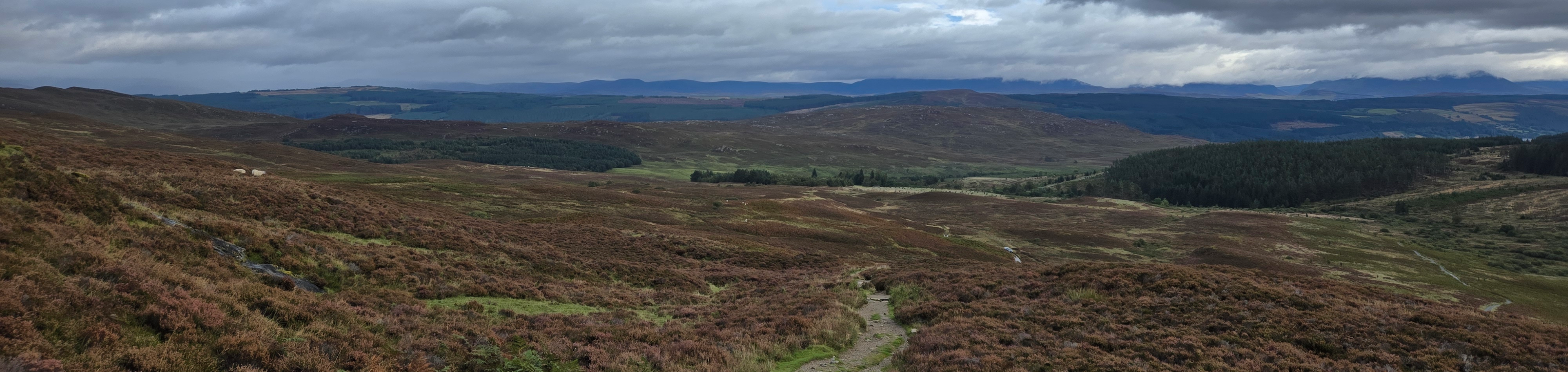 Polarove Socks: Edmonton-made Adventure Socks