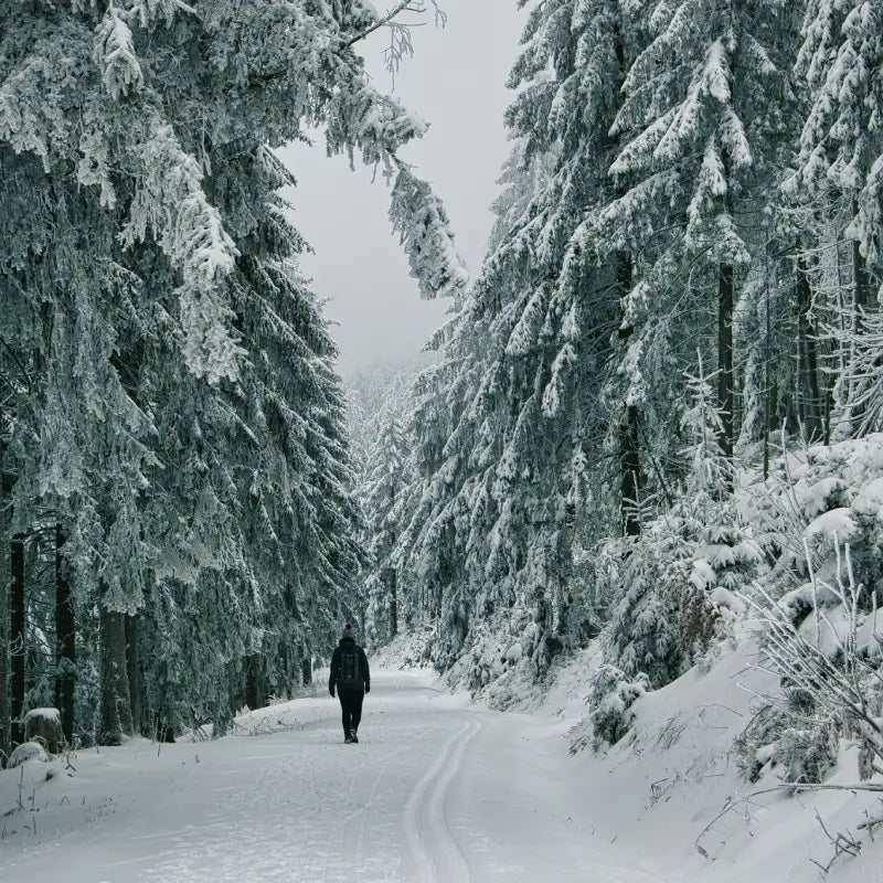 Winter Day Hiking Checklist