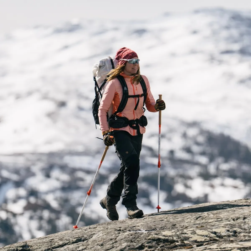Trekking Poles All Season Alpine Aluminum
