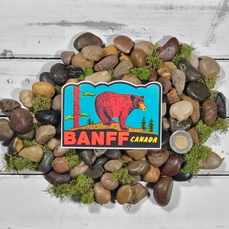 Shellshag Sticker Banf Banff Bear Sticker – Prairie Peak Provisions