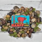 Banff Bear Sticker