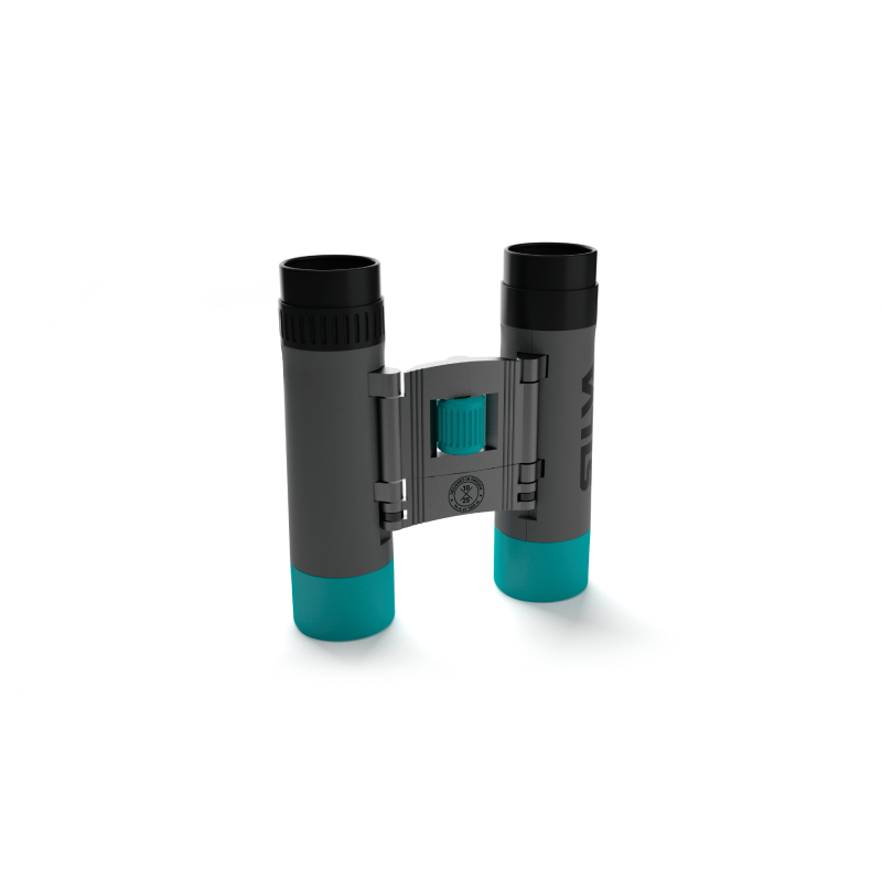 Pocket 10X Binoculars
