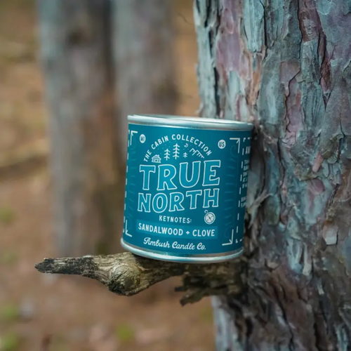 True North - Sandalwood + Clove 8oz Soy Candle